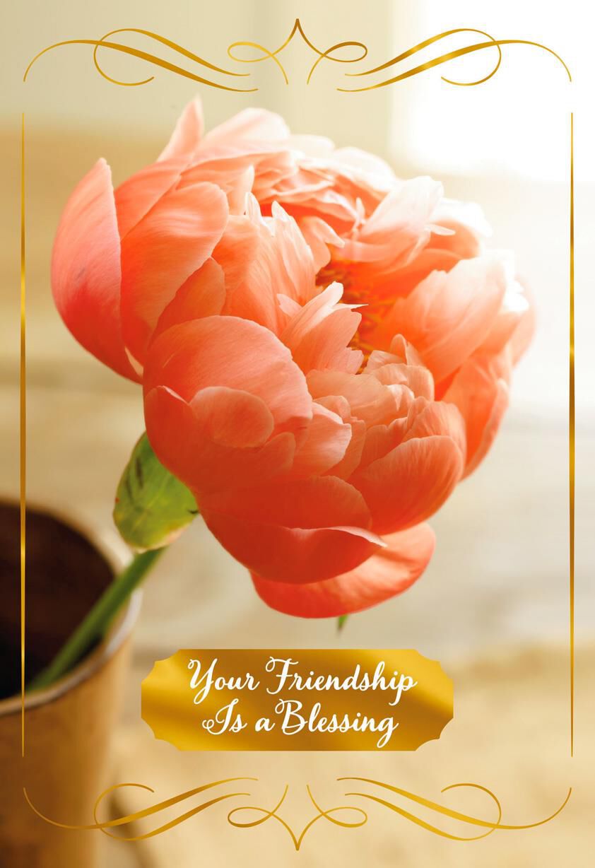 Grateful for Our Friendship With Foil Birthday Card