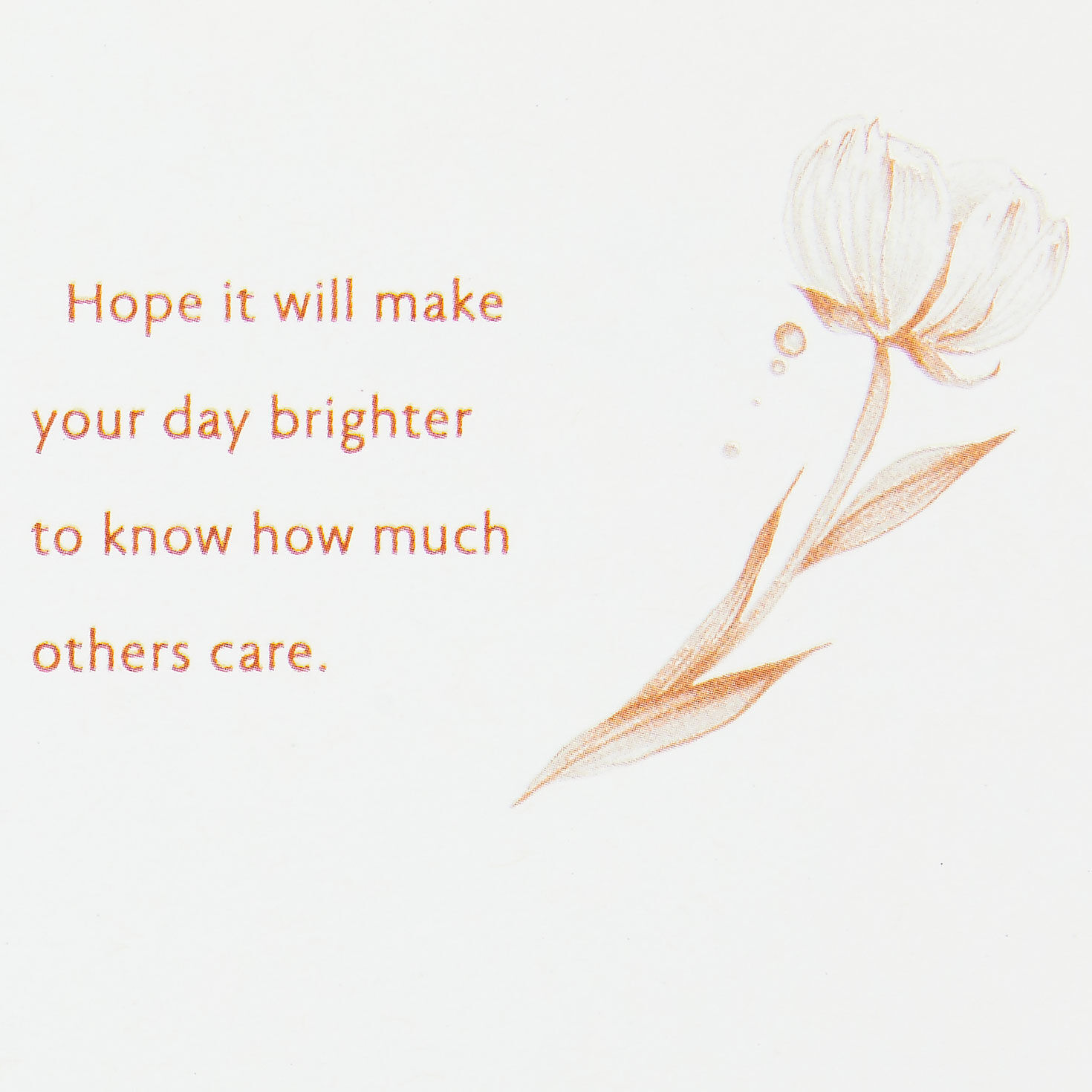 Copper Flowers and Leaves Encouragement Card Sentiment image number 2