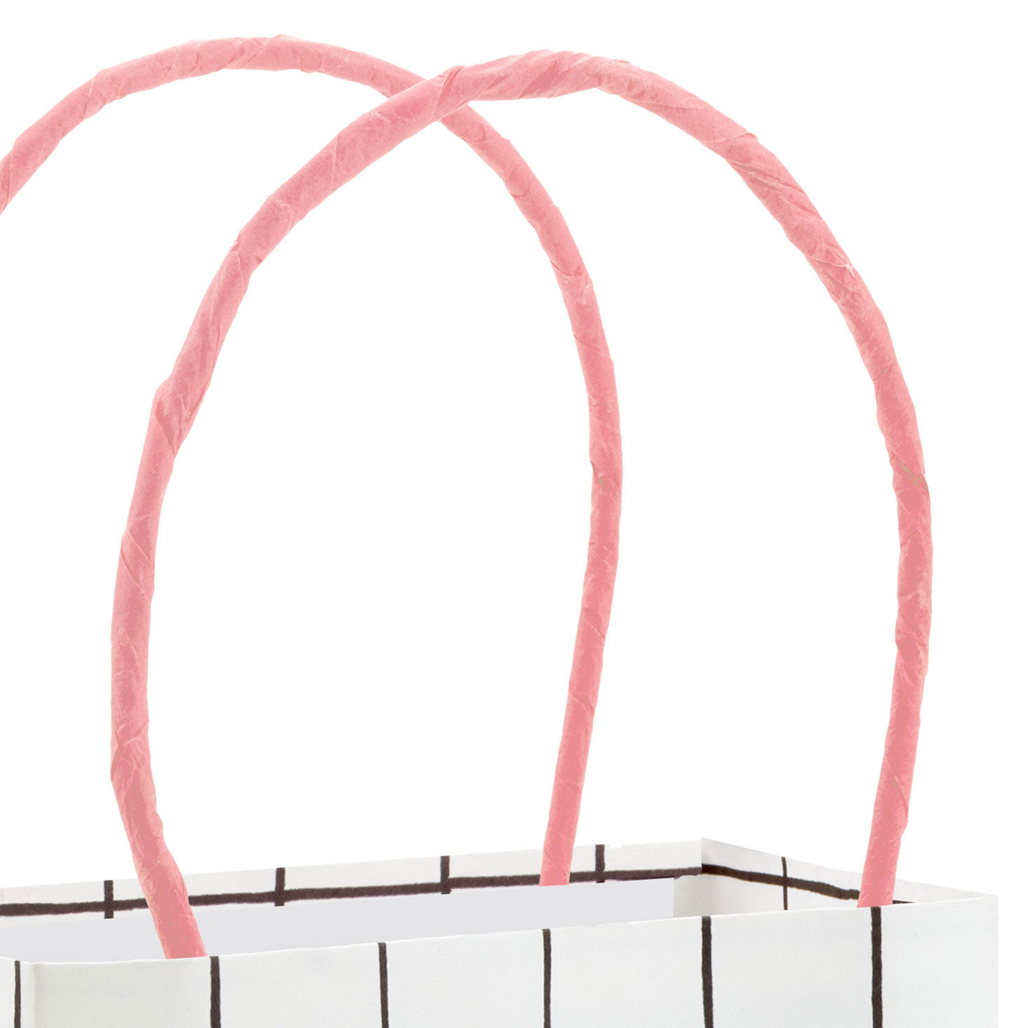 4" Pink Garden Floral Mini Horizontal Gift Bag Bundle, , large image number 6