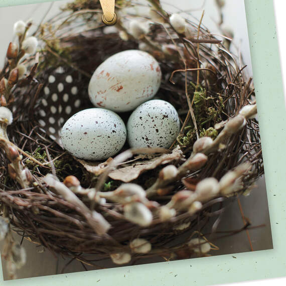 Speckled Eggs in Nest Blank Card, , large image number 3