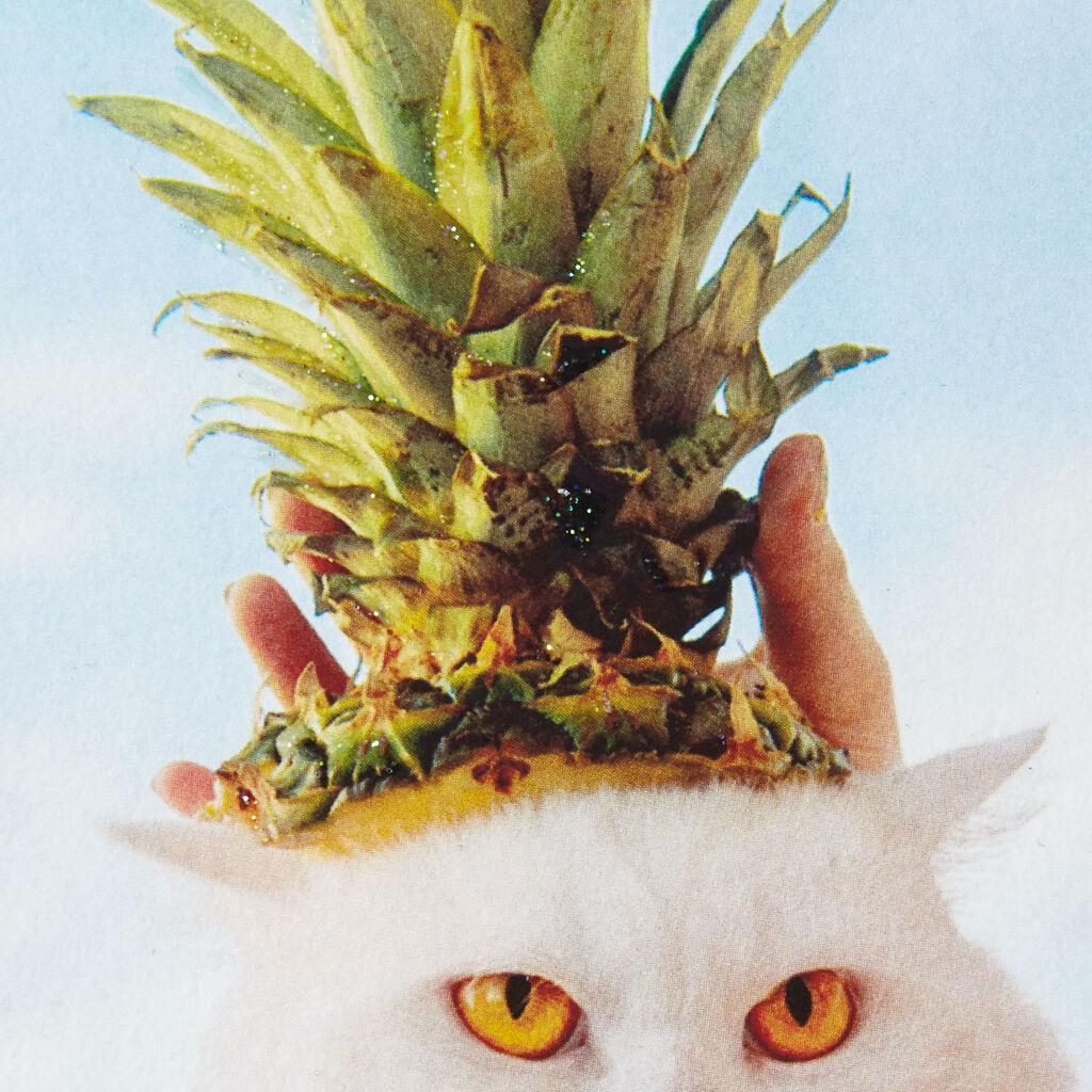 Sourpuss Cat Wearing Pineapple Hat Birthday Card Greeting Cards