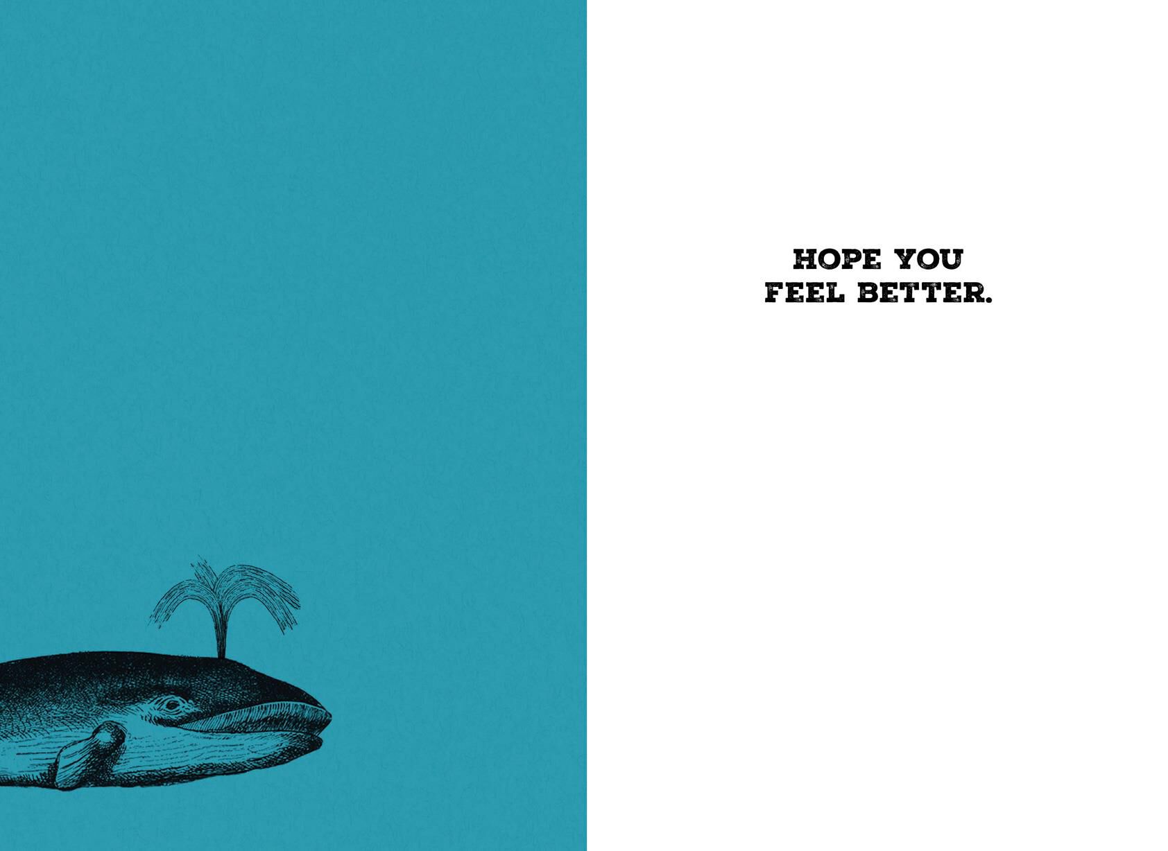 Get Well Cards Hallmark