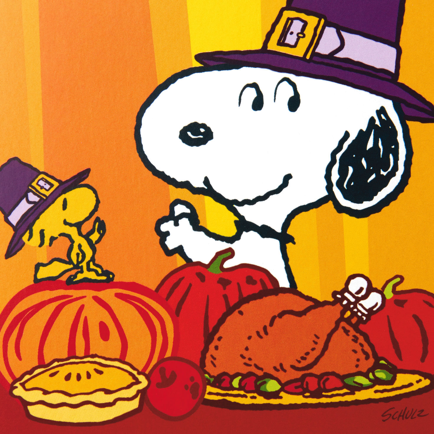 Peanuts® Snoopy and Woodstock Thanksgiving Cards, Pack of 10 for only USD 7.99 | Hallmark