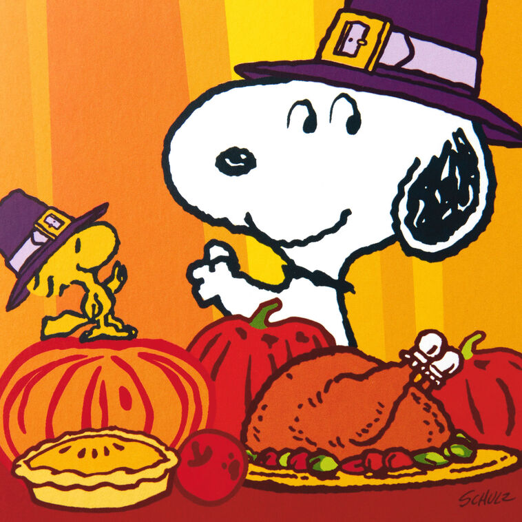 Peanuts® Snoopy and Woodstock Thanksgiving Cards, Pack of 10