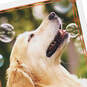 Happy Thoughts Dog With Bubbles Encouragement Card, , large image number 4