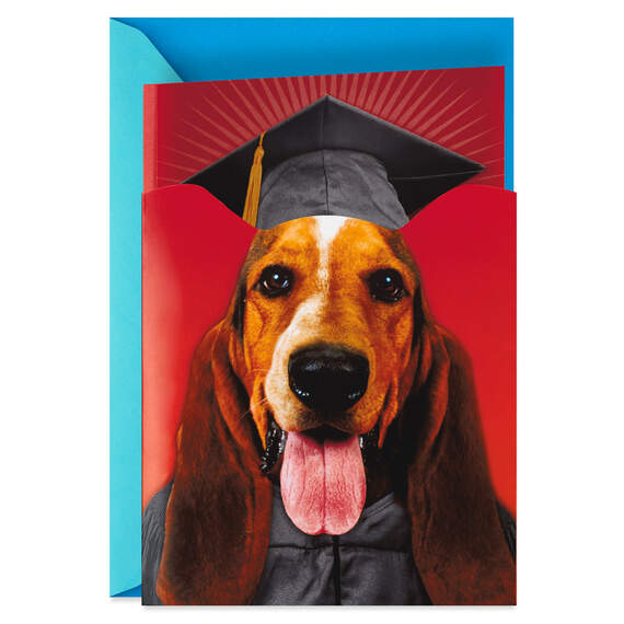 Dog Pop-Up Musical Graduation Card, , large image number 1