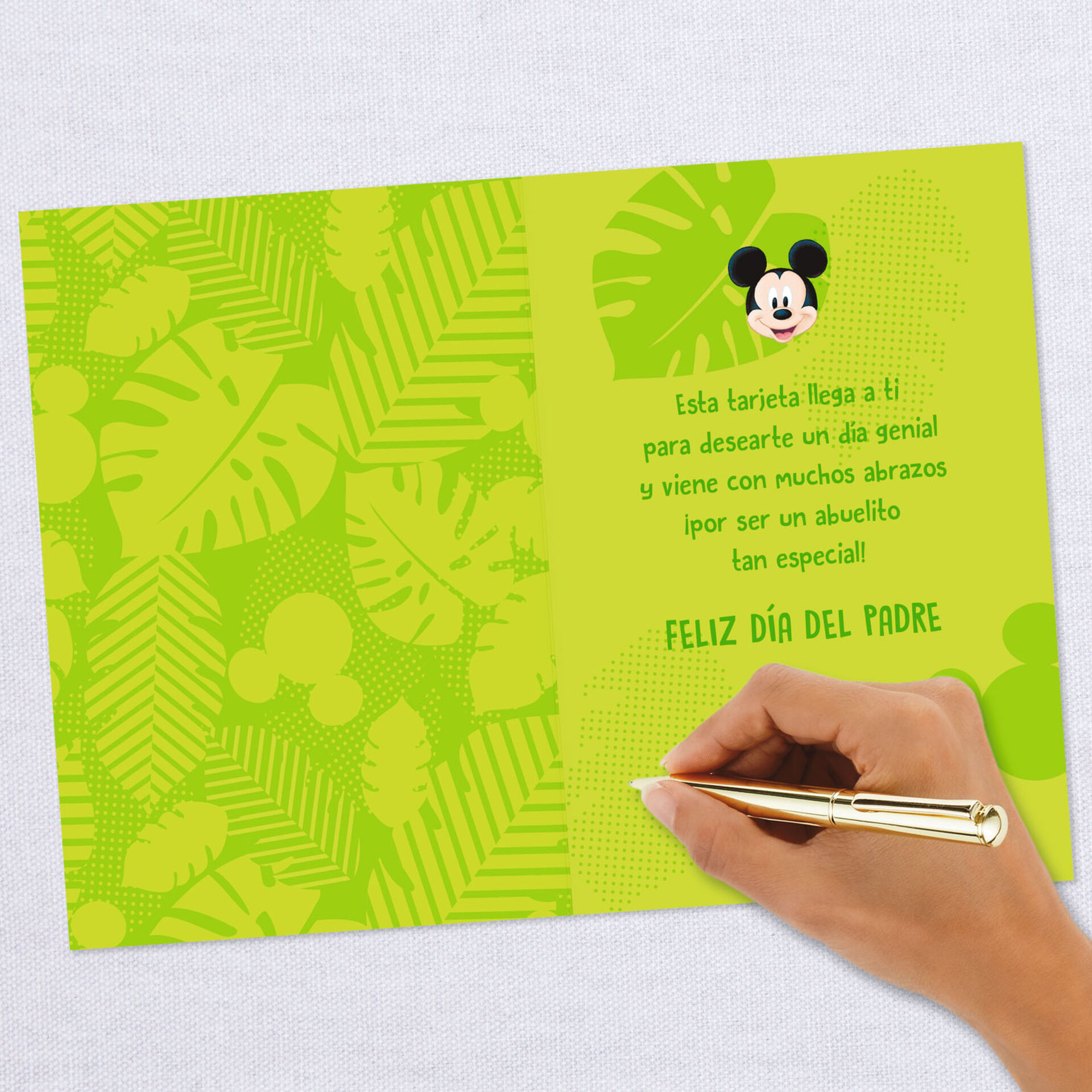 Download Disney Mickey Mouse and Pluto Spanish-Language Father's ...