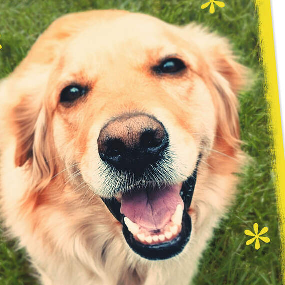 Smiling Dog Blank Card, , large image number 3