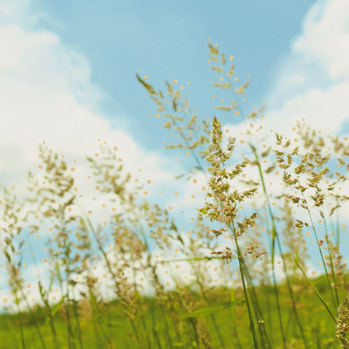 Heart in Blue Sky Encouragement Card Card Front Detail image number 4