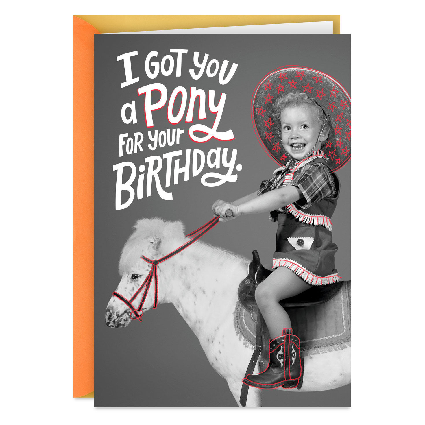 I Got You a Pony Funny Birthday Card