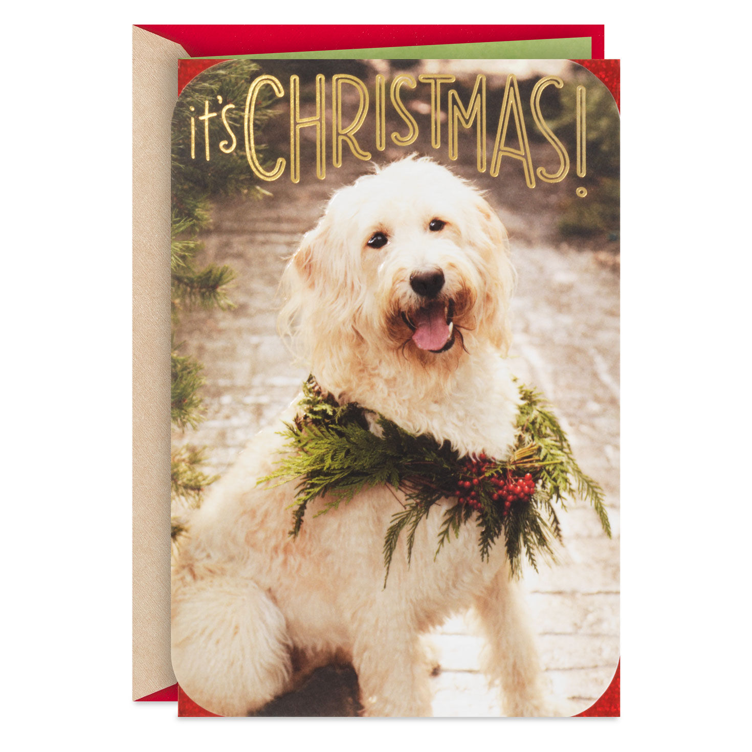 Warm and Fuzzy Holiday Wishes Christmas Card
