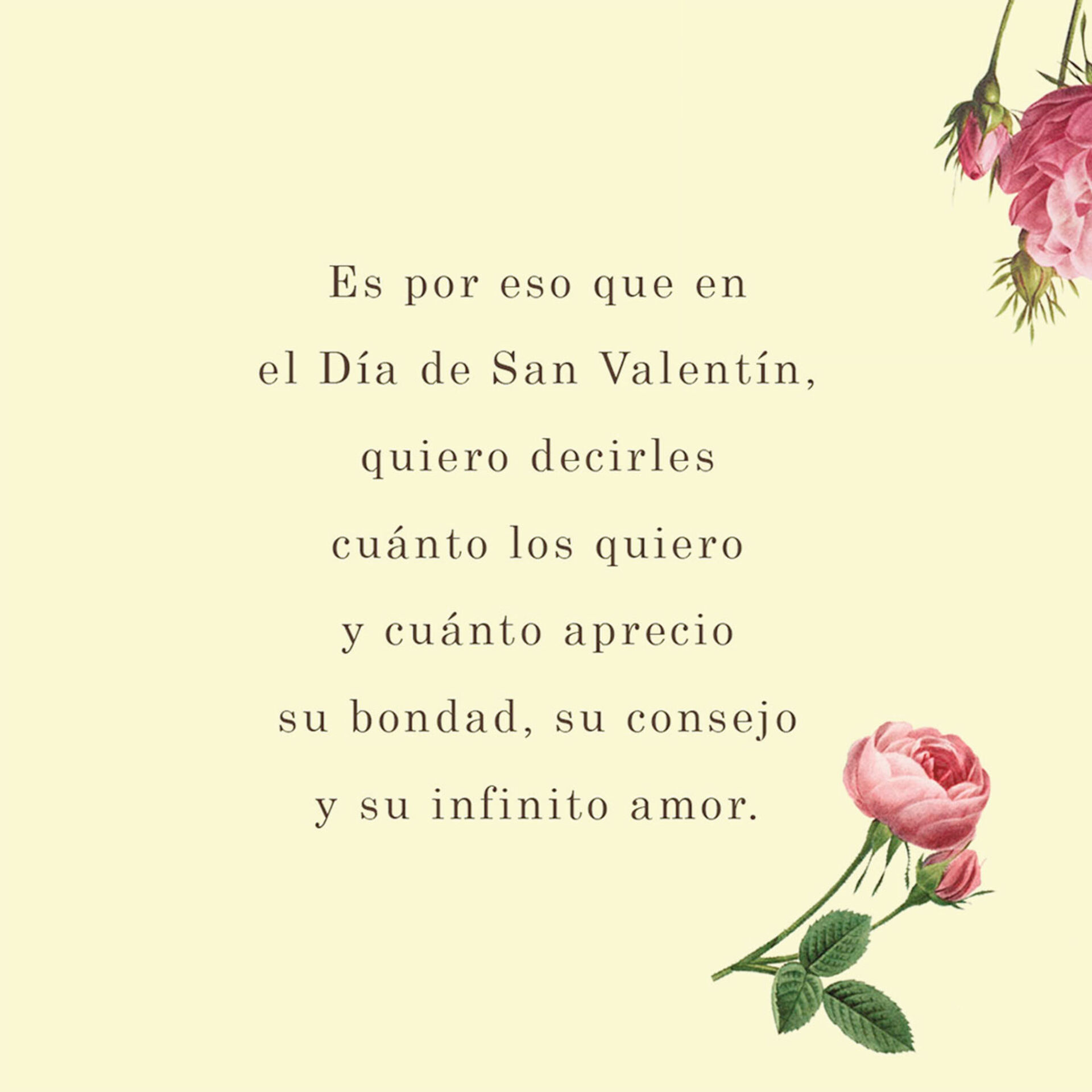 My Image 14