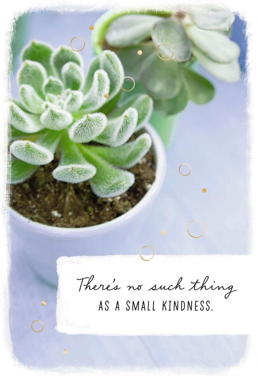Succulent Plants No Small Kindness Thank You Card