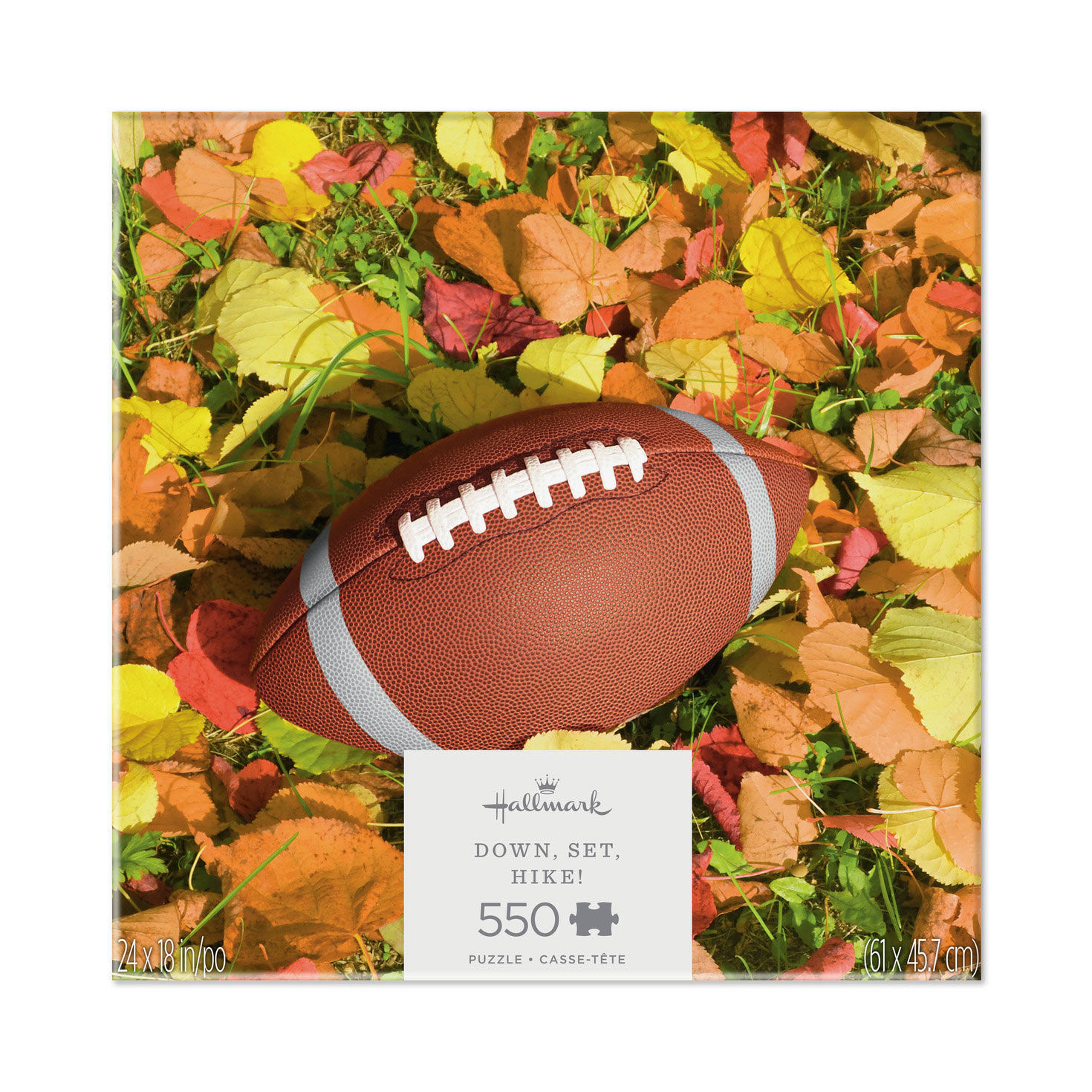 Down, Set, Hike! 550-Piece Jigsaw Puzzle for only USD 22.99 | Hallmark
