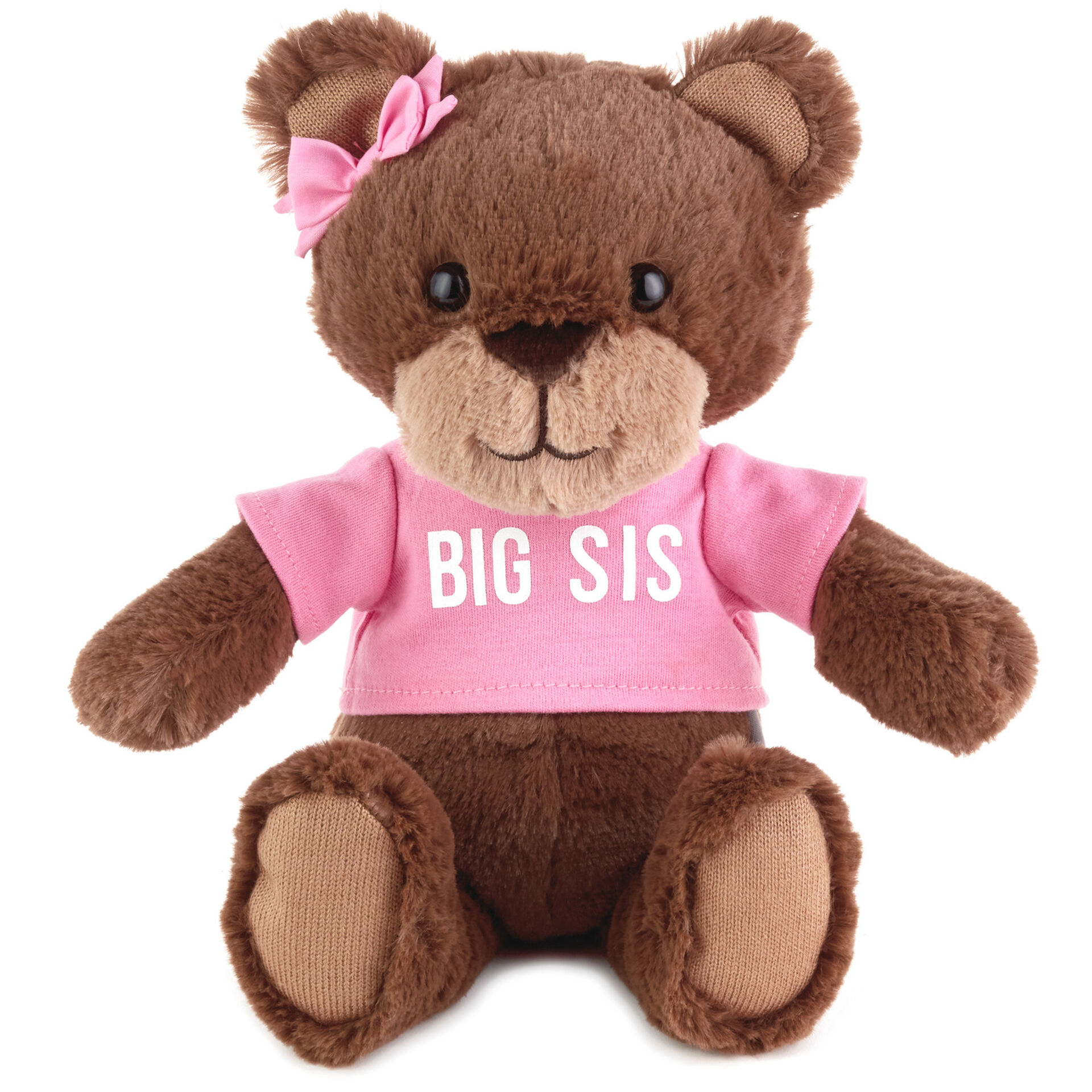 big sister teddy bear gift