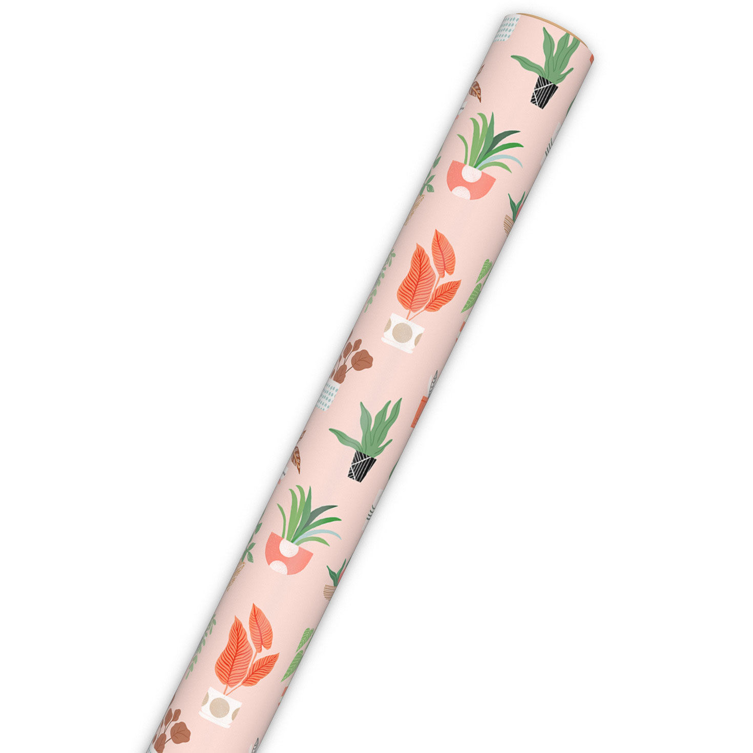Potted Plants on Pink Wrapping Paper, 20 sq. ft. for only USD 4.99 | Hallmark