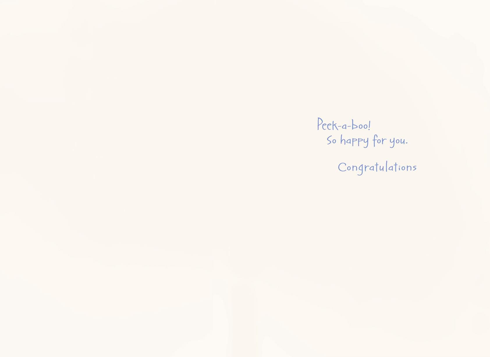Peekaboo New Baby Boy Card