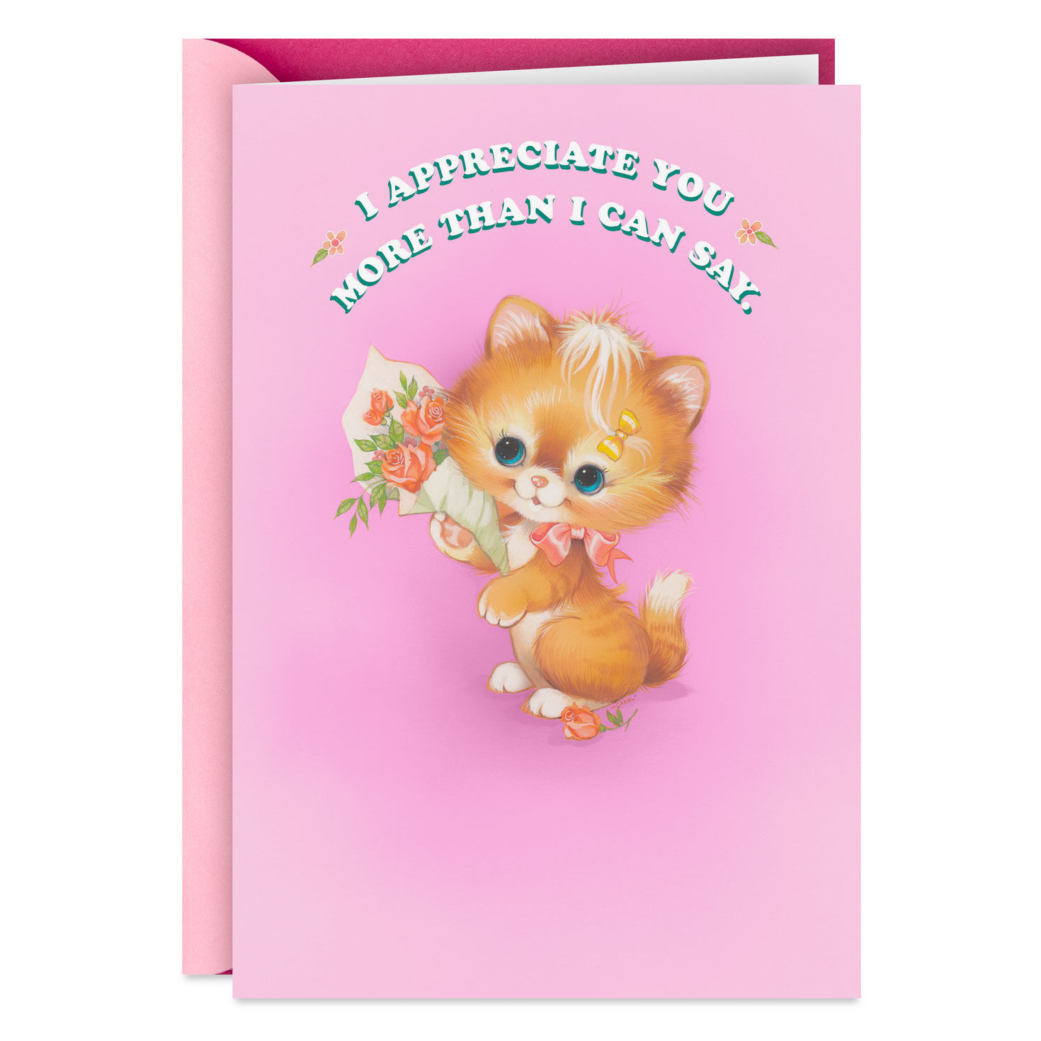I Appreciate You More Than I Can Say Funny Card
