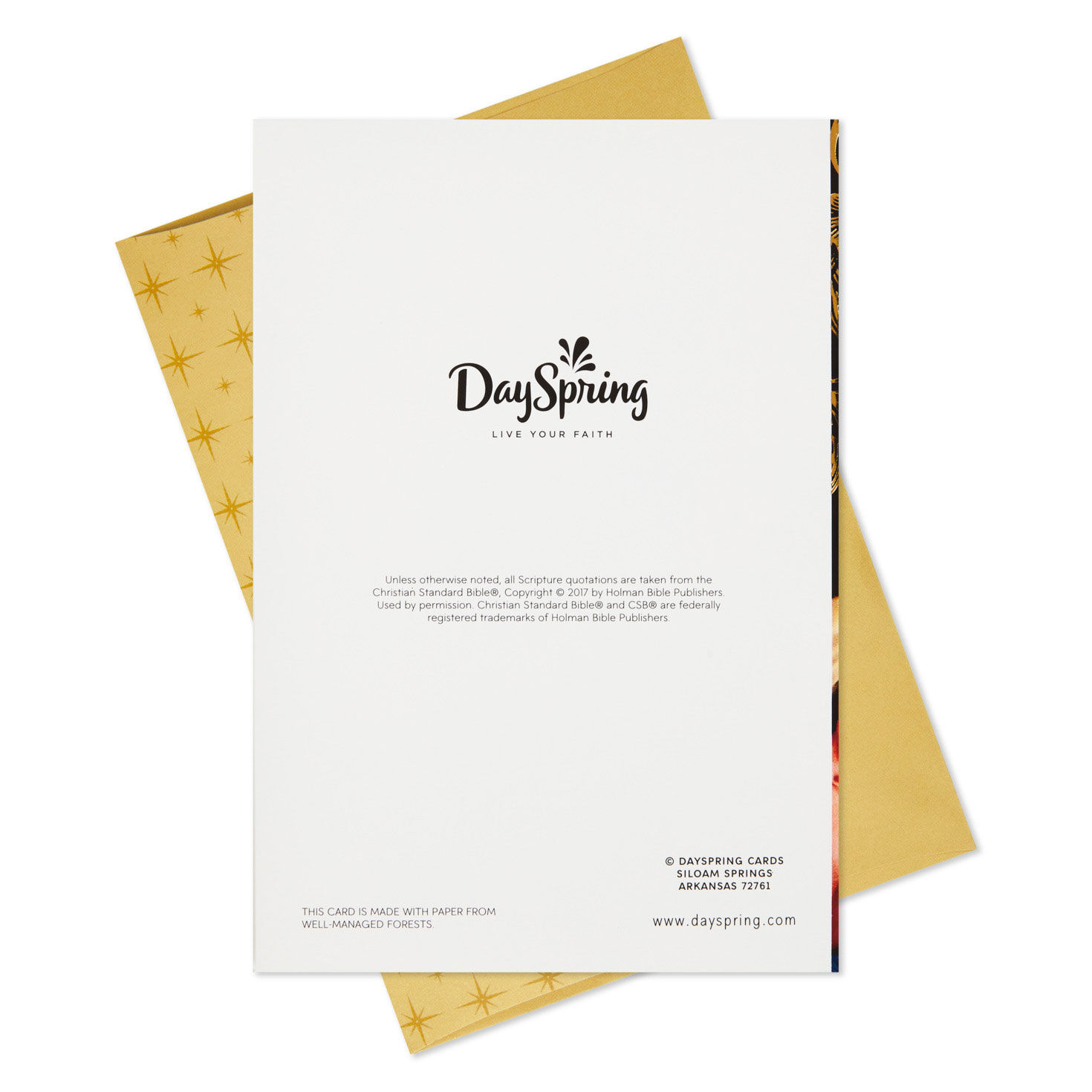 Mary and Child Religious Boxed Christmas Cards, Pack of 16, , large image number 7