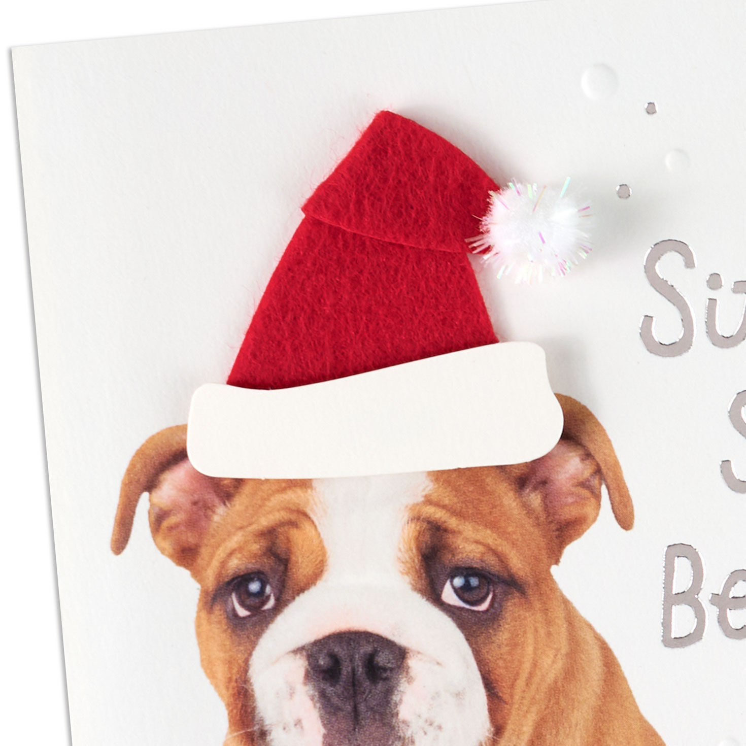 English Bulldog in Santa Hat Christmas Card Card Front Detail image number 4