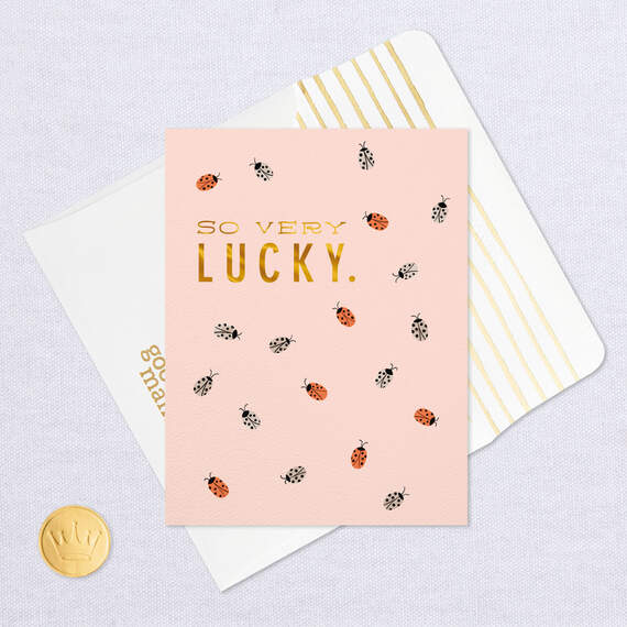 Ladybugs So Very Lucky Card, , large image number 5