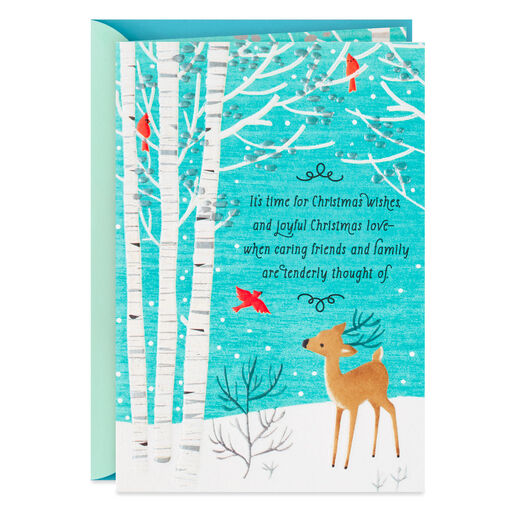 God's Love, Joy and Peace Religious Christmas Card, 