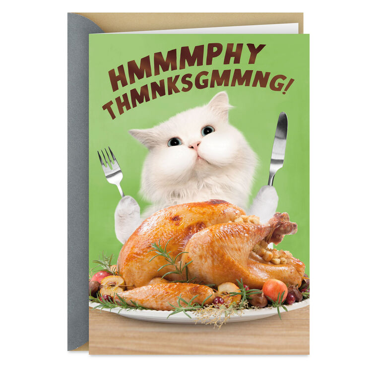A Day Filled With Good Stuff Funny Thanksgiving Card