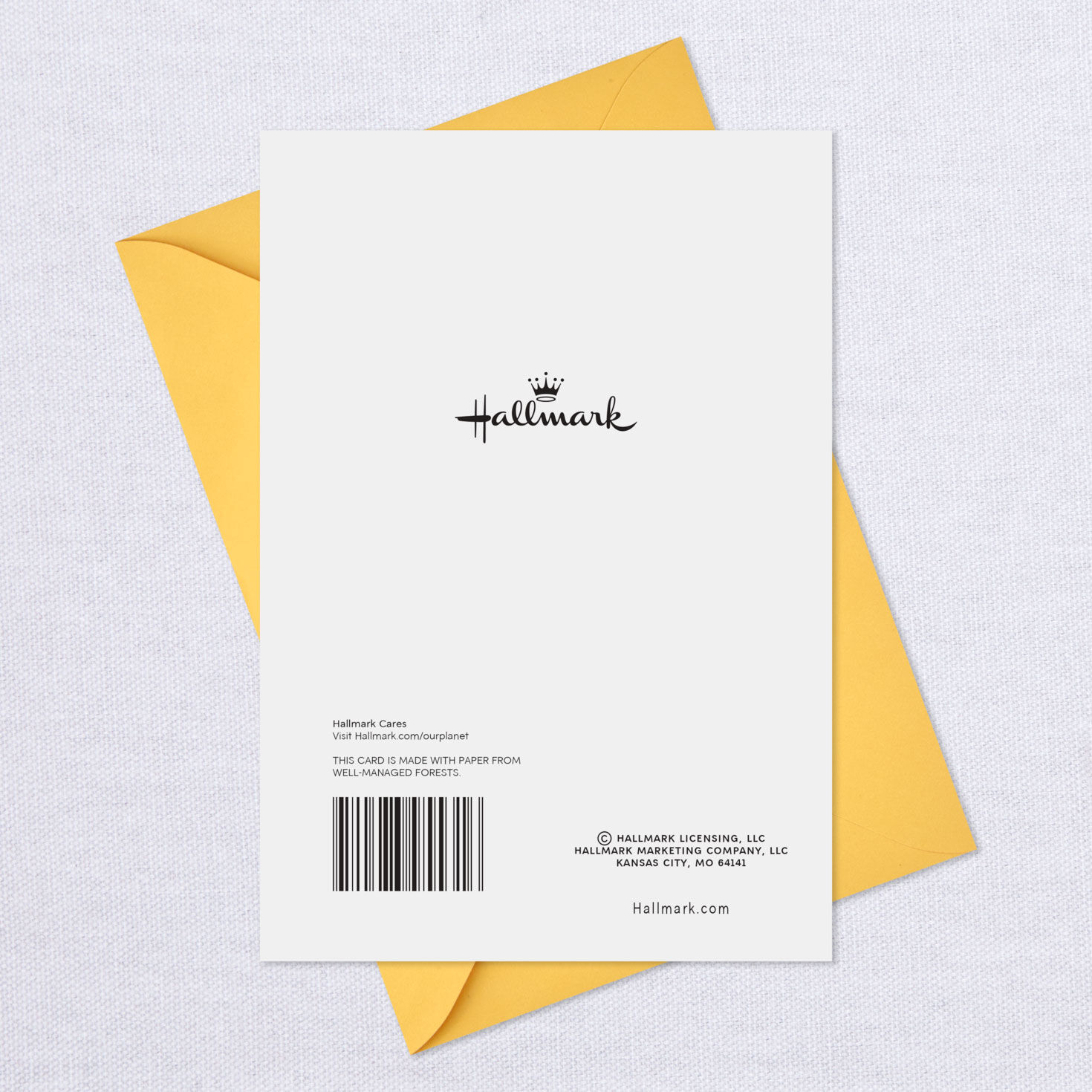 Flowers and Bee Blank Card for only USD 2.99 | Hallmark