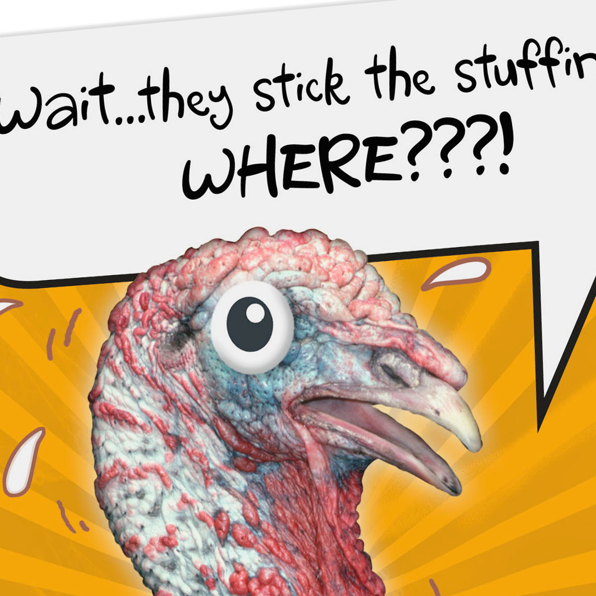 Stick the Stuffing Turkey Funny Thanksgiving Card - Greeting Cards