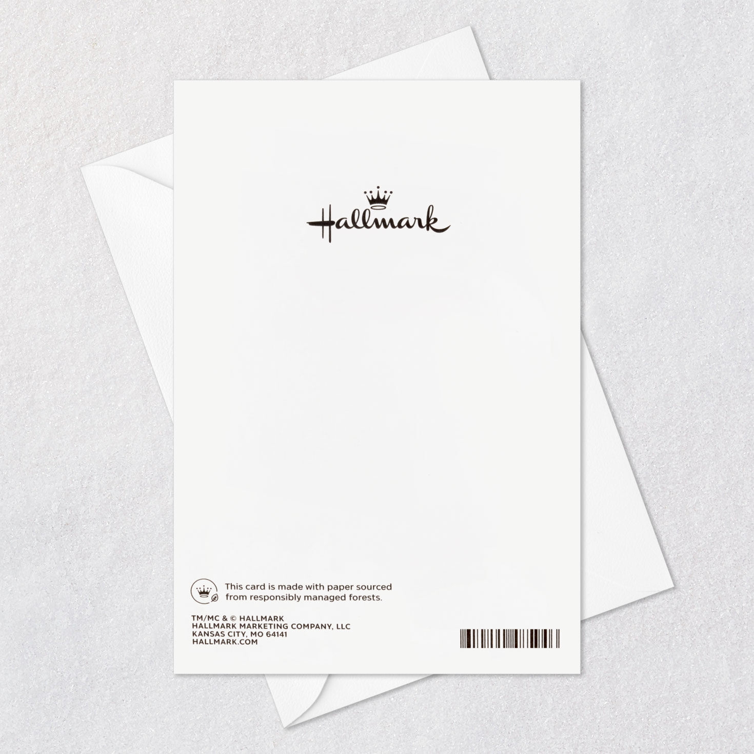 Gray Bird on Blue Branch Sympathy Card Card Back with Envelope image number 7