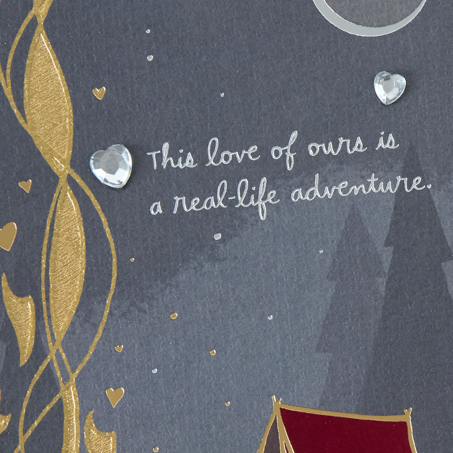 Campfire and Tent Valentine's Day Card Card Front Detail image number 5