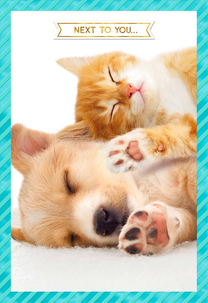 Next to You Is My Happy Place Love Card