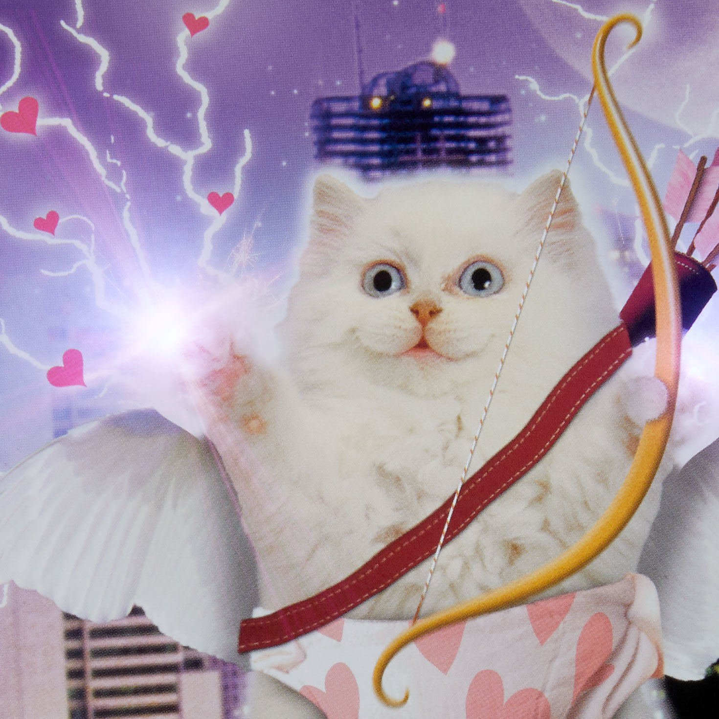 Giant Cupid Cat Funny Valentine's Day Card card front detail image number 4