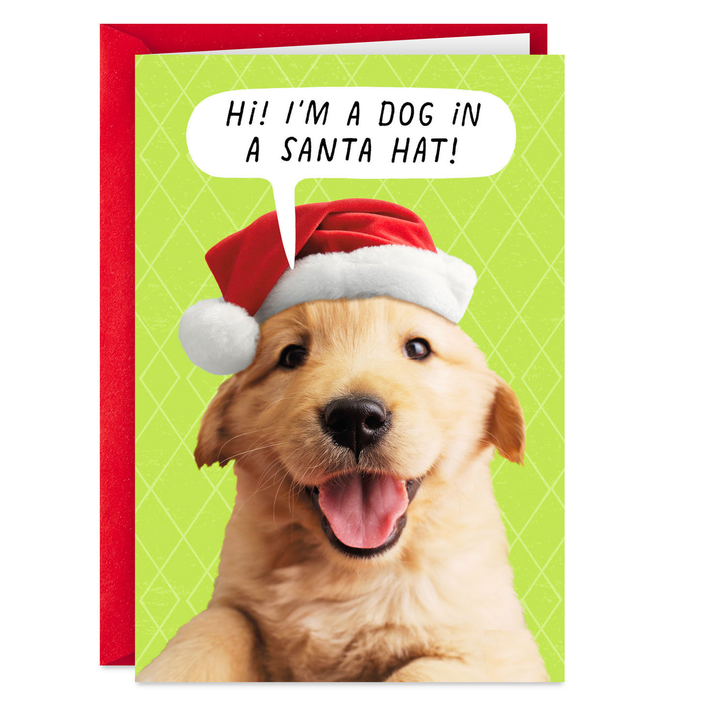 Puppy Dog in Santa Hat Funny Christmas Card