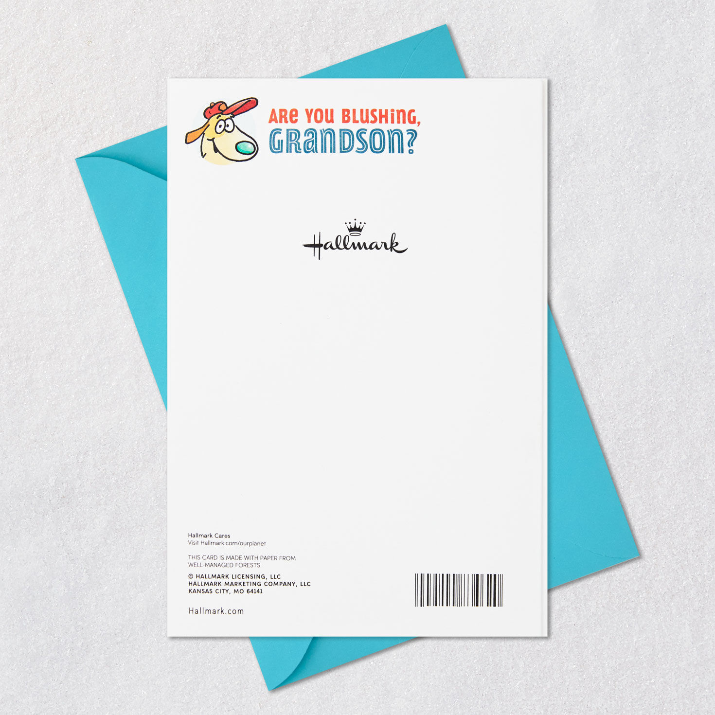 Friendly, Fun and Smart Birthday Card for Grandson, , large image number 7