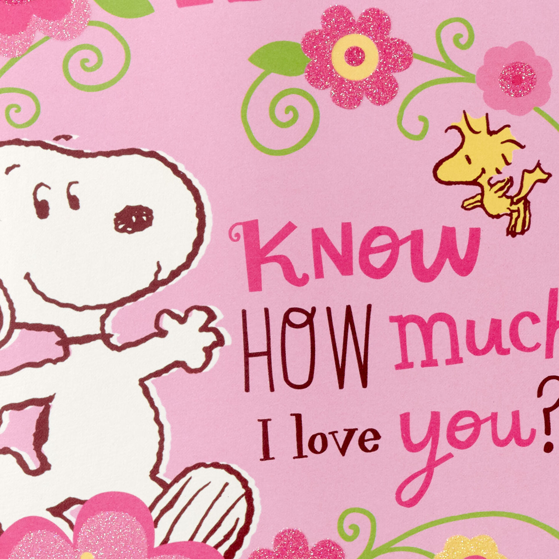 Peanuts® snoopy and woodstock feast thanksgiving card Peanuts® Snoopy How Much I Love You Mother's Day Card for Mom