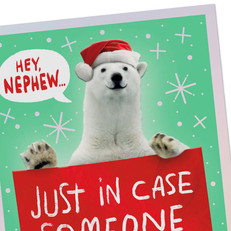 Santa Polar Bear Christmas Money Card for Nephew Card Front Detail image number 5