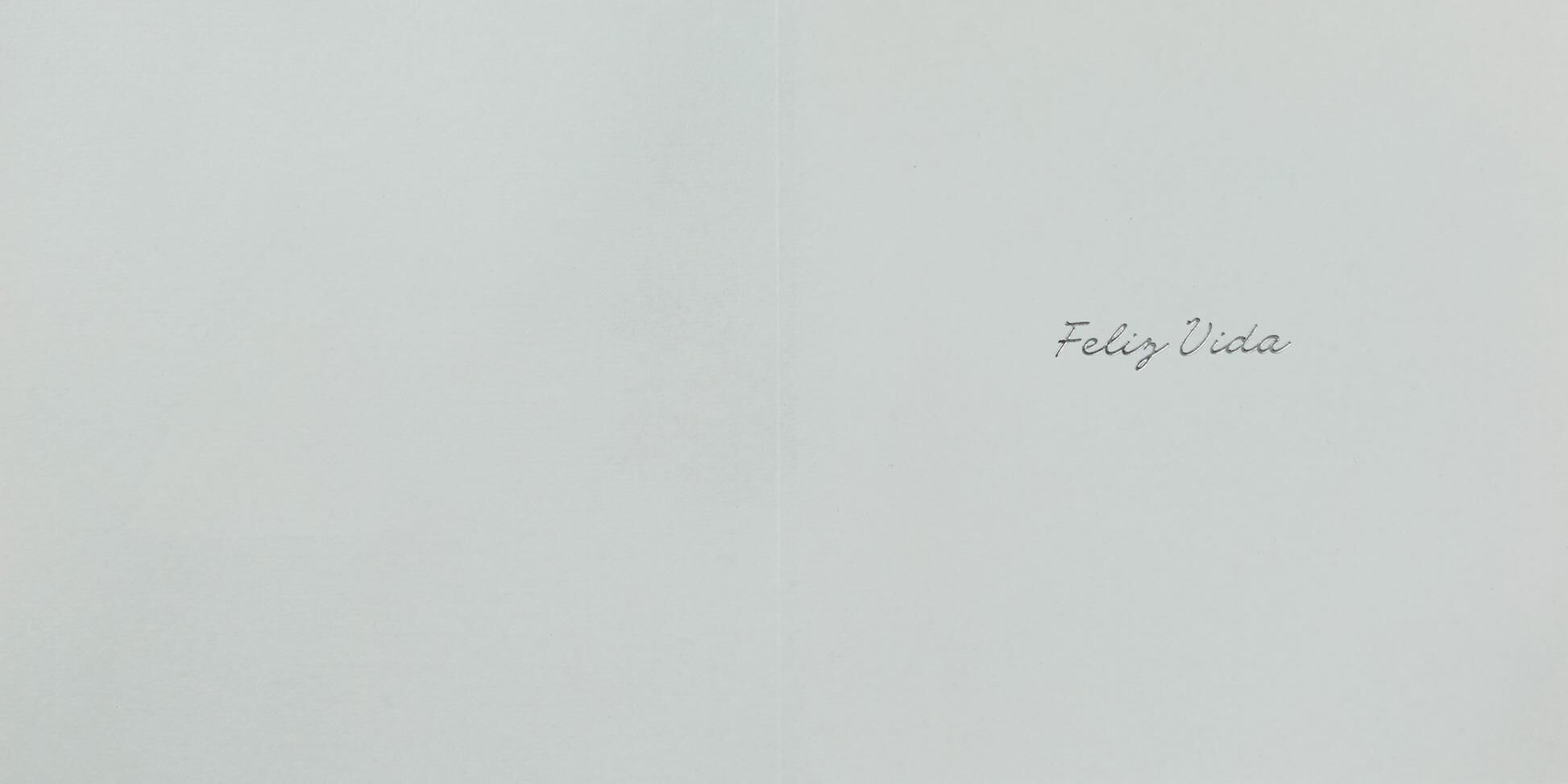Feliz Vida Spanish-Language Wedding Card