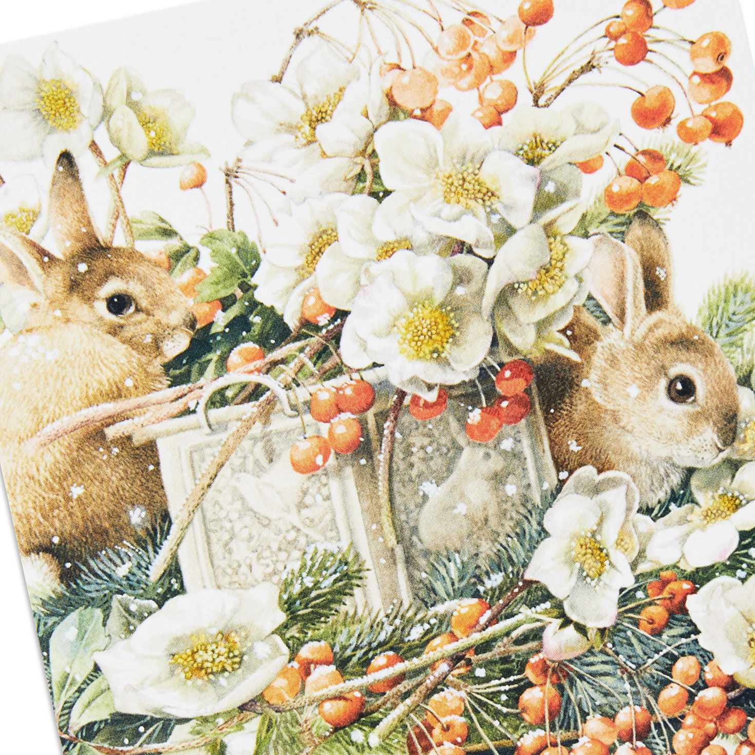 Marjolein Bastin Holiday Boxed Blank Christmas Note Cards Assortment, Pack of 24, , large image number 5