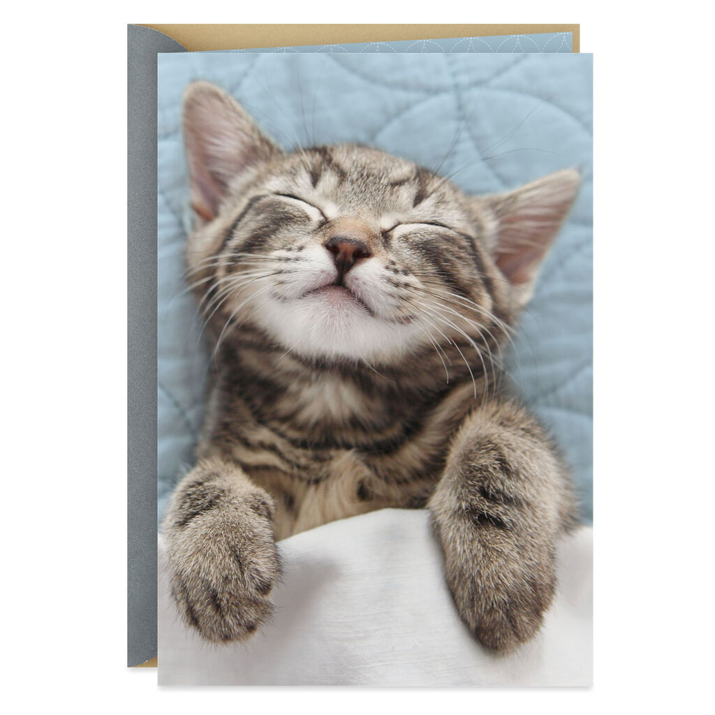 Kitten Under The Covers Blank Thinking Of You Card Greeting