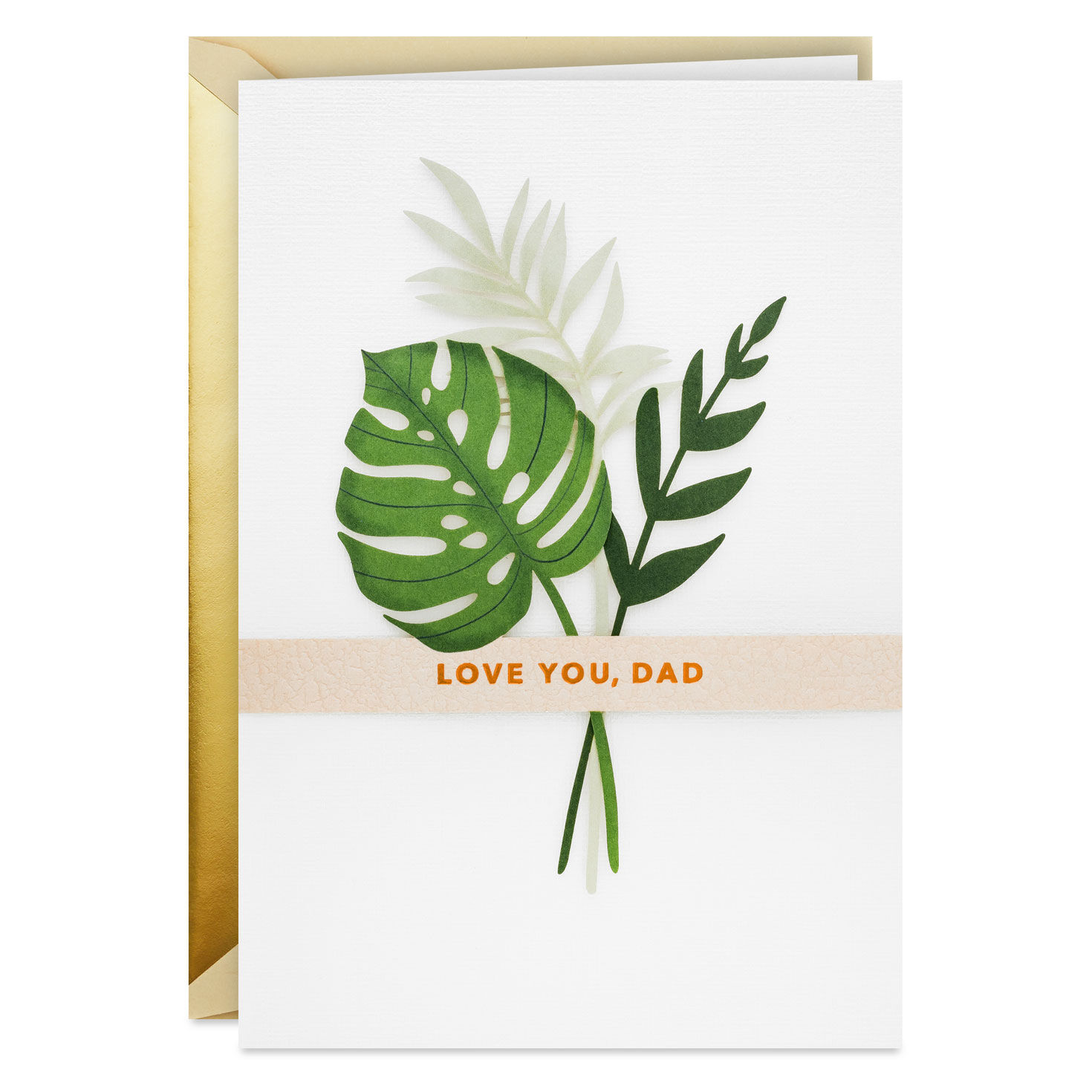 Thanks and Love Father's Day Card for Dad
