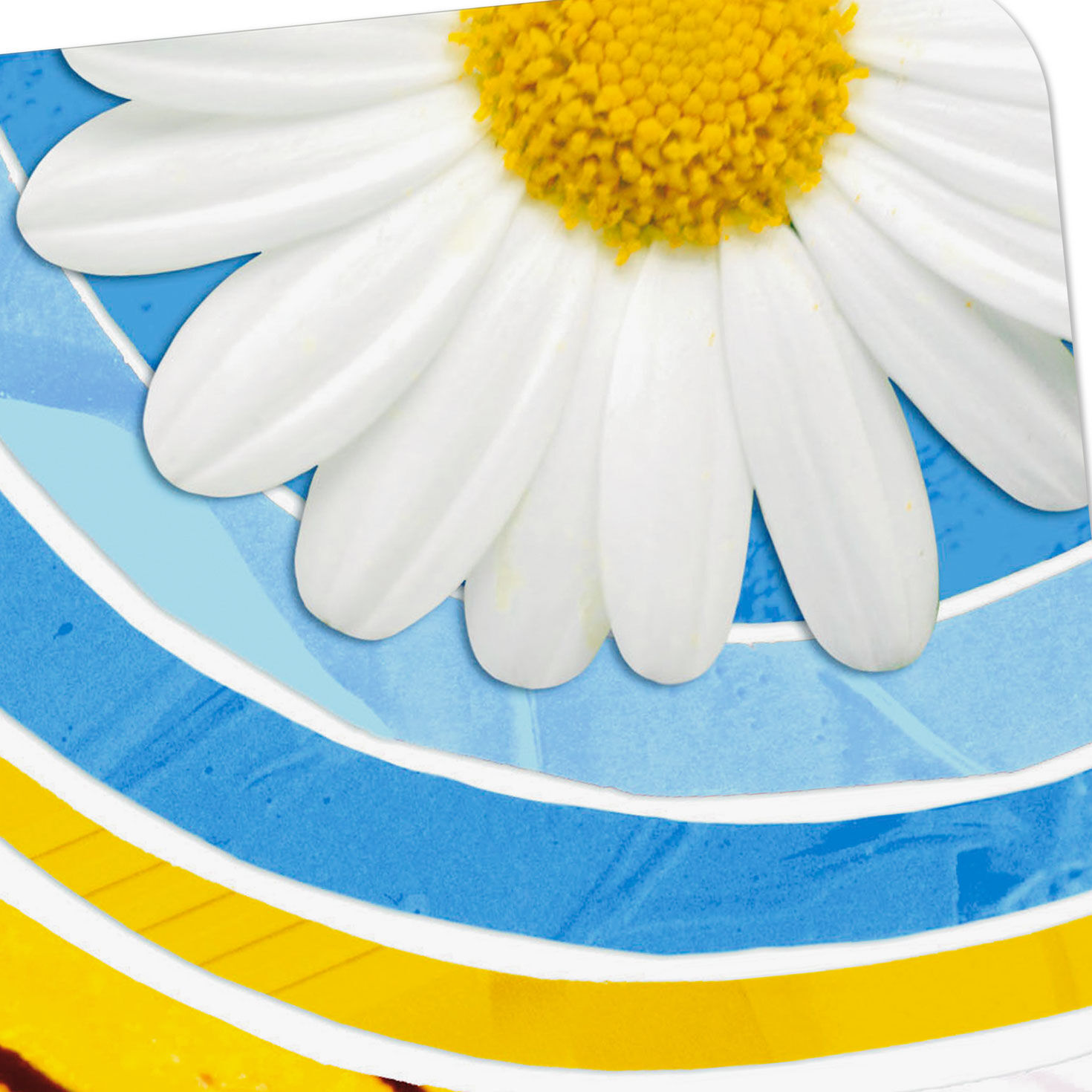 Flowers and Butterfly Wing Collage Blank Card Card Front Detail image number 3