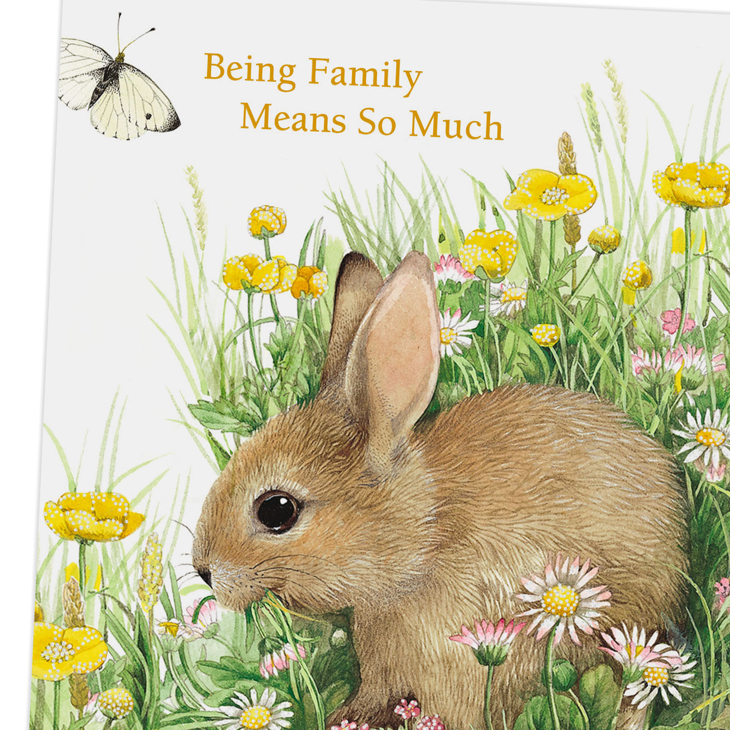 Marjolein Bastin Bunny and Flowers Birthday Card, , large image number 4