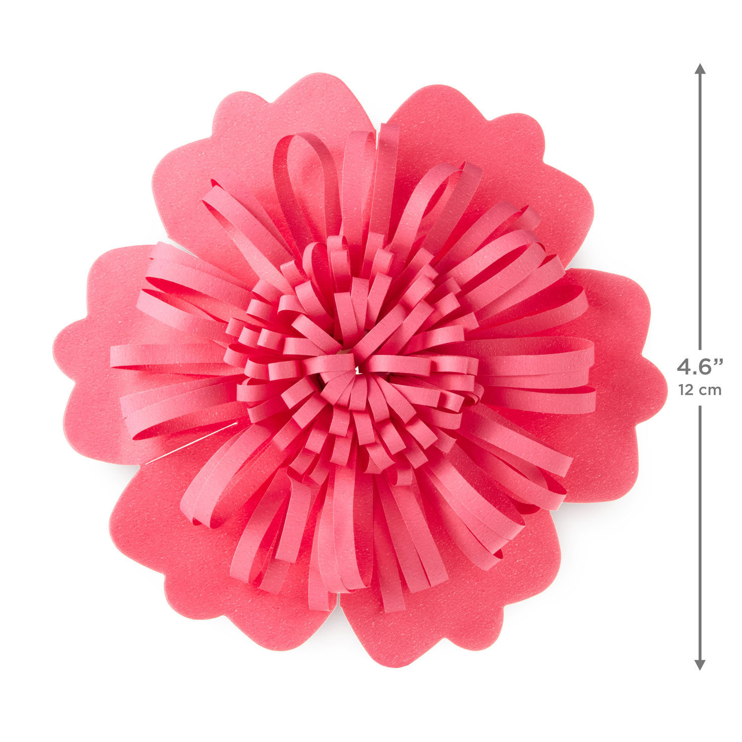 Scalloped Floral Gift Bow in Coral Pink measurement image number 3