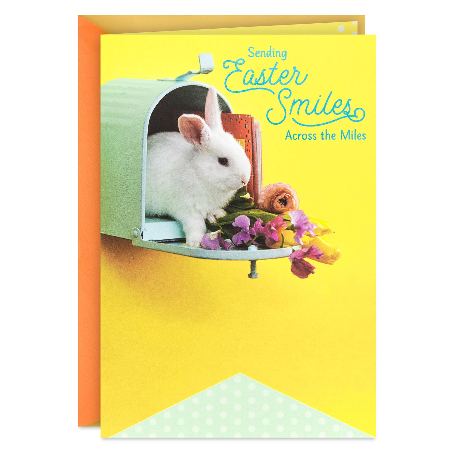 Sending Smiles Across the Miles Easter Card