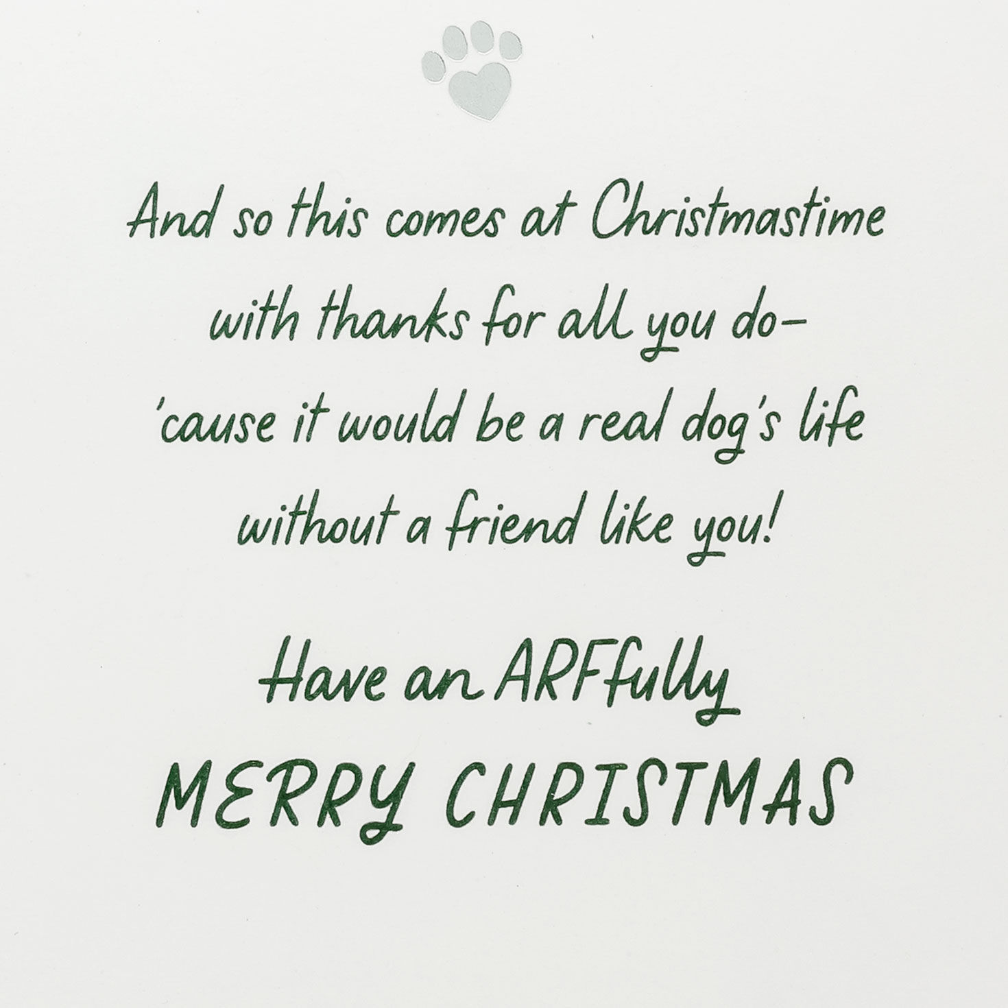 Funny Dog in String Lights Christmas Card Sentiment image number 2