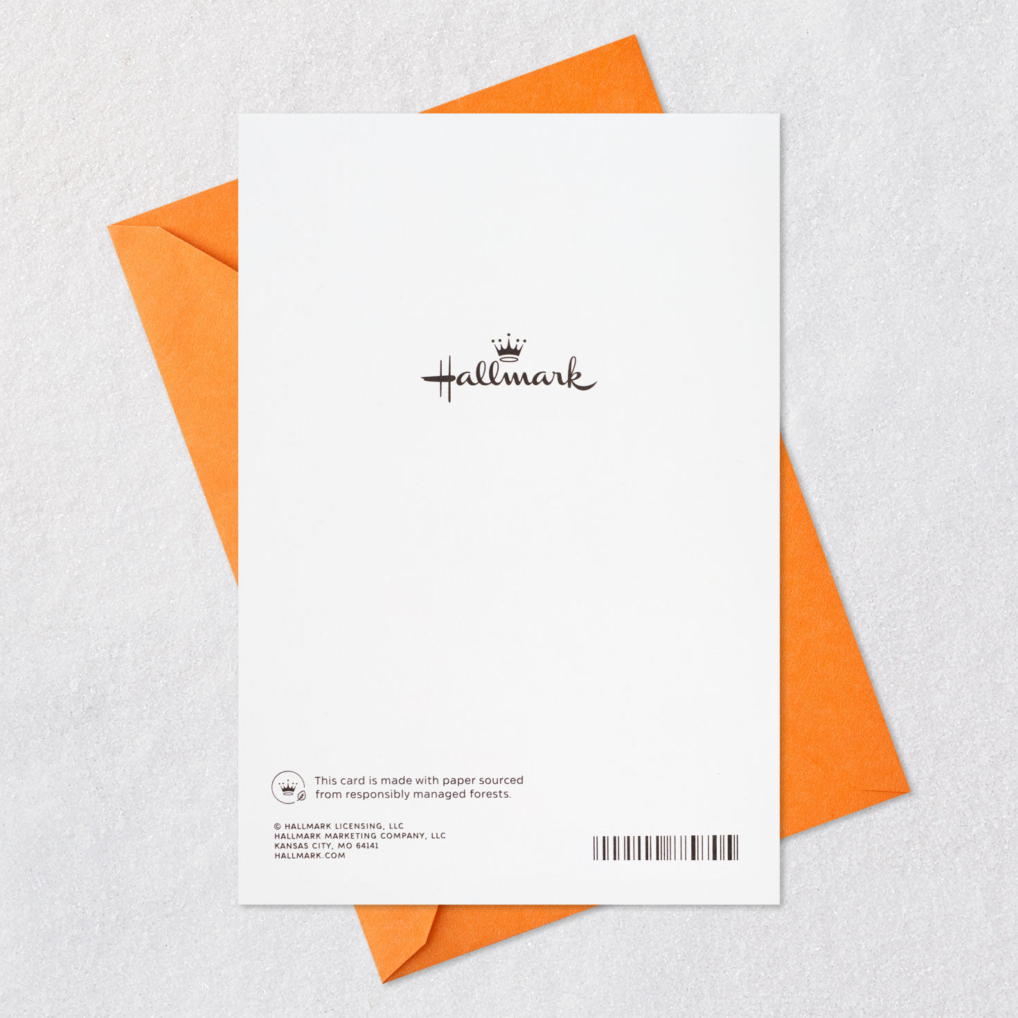 Happy Day to Us Shared Birthday Card, , large image number 7