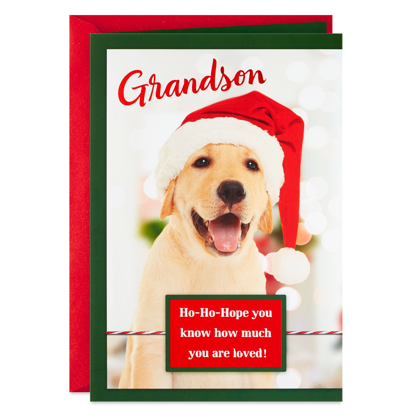 Golden Retriever in Santa Hat Christmas Card for Grandson