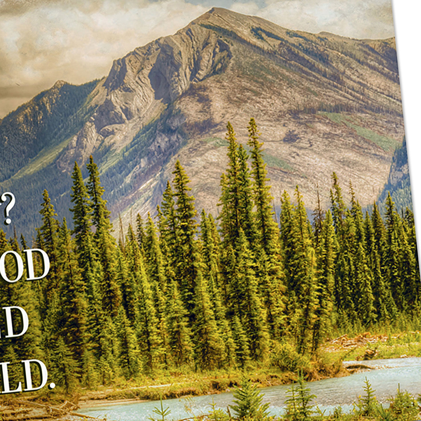 Max Lucado DaySpring Hello Cards Assortment Cover Detail image number 5