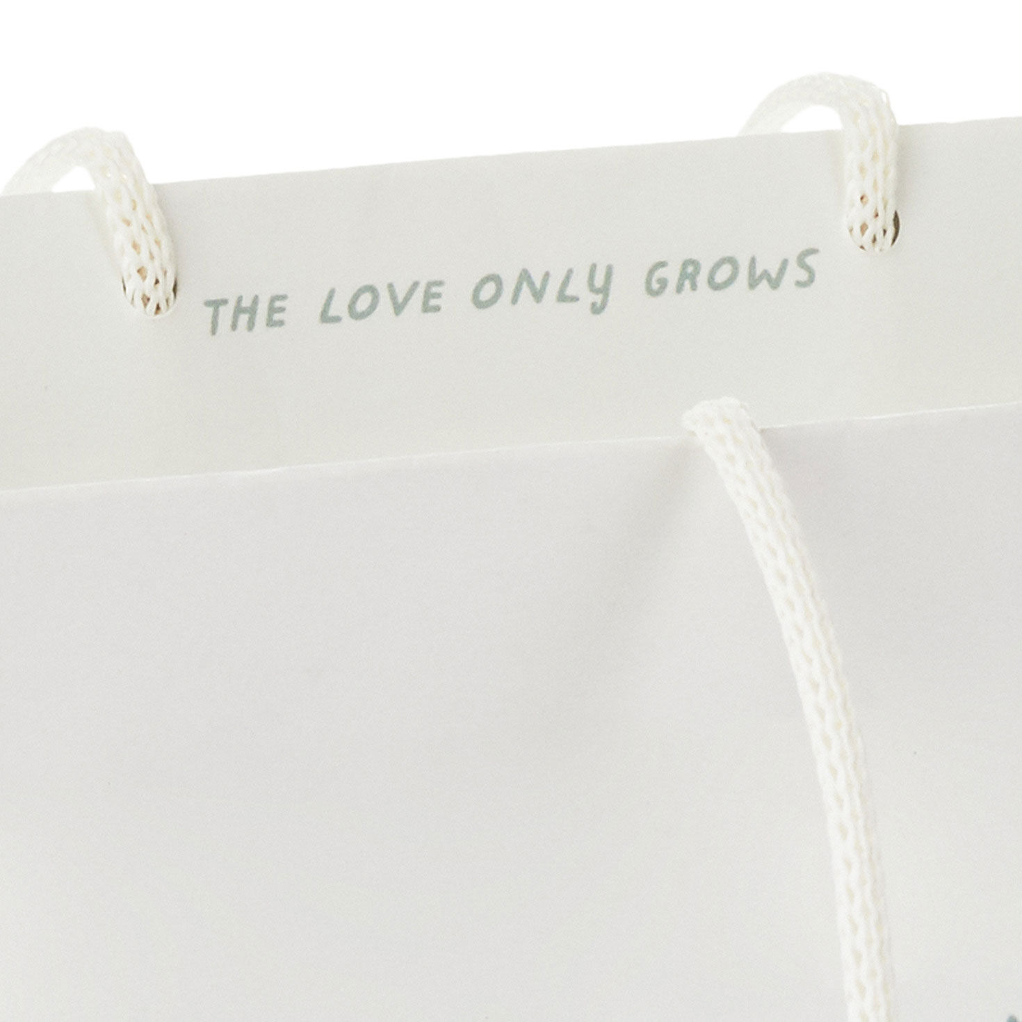 Bear and Bunny Picnic Medium Gift Bag top Detail image number 5